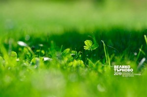 10155400_291540971012024_6115685698320278502_n