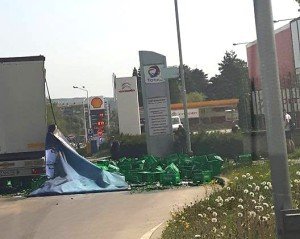 12495060_10206016963735557_5646823414618433104_n