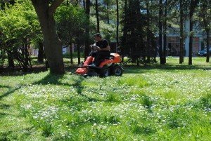 Parkove-blagoustroqvane