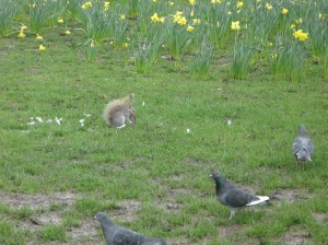 Picture99 054
