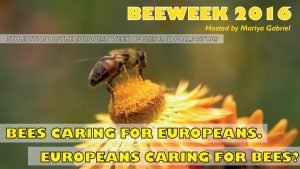 Bee_week