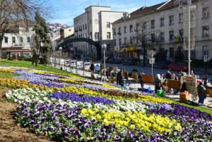 gradinki-veliko-tarnovo