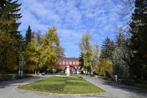 park-marno-pole-veliko-tarnovo