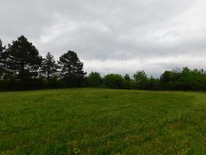 DSCN2393