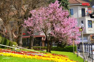 486718064_1226601938822181_6102871176126139829_n