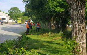 IMG-068e34e785a1a8a8acfd3c2e0a070fa8-V