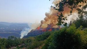 504379452_617258821418449_6756744194736909982_n-scaled