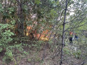 517395312_31121353880797537_5189470240539607262_n