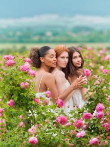 chista-formula-chista-savest-3