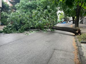 Messenger_creation_2B64488B-0169-4F42-8BA0-E3D65ABAC2E3