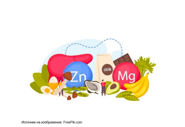 Забележителности | Цинкът – малкият минерал с голямо значение за здравето