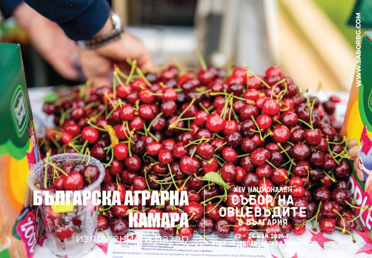 Забележителности | От фермата до трапезата: Националният събор на овцевъдите среща българските производители с потребителите